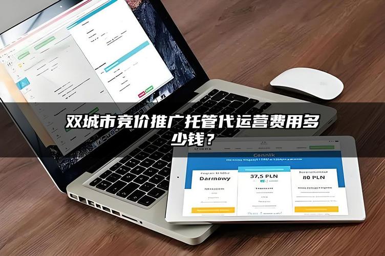 双城市竞价推广托管代运营费用多少钱?