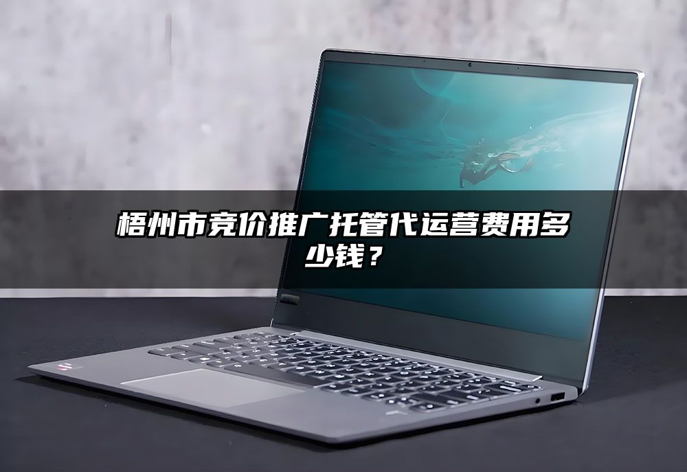 竞价推广托管服务 解放双手，让专业团队为您的广告效果保驾护航