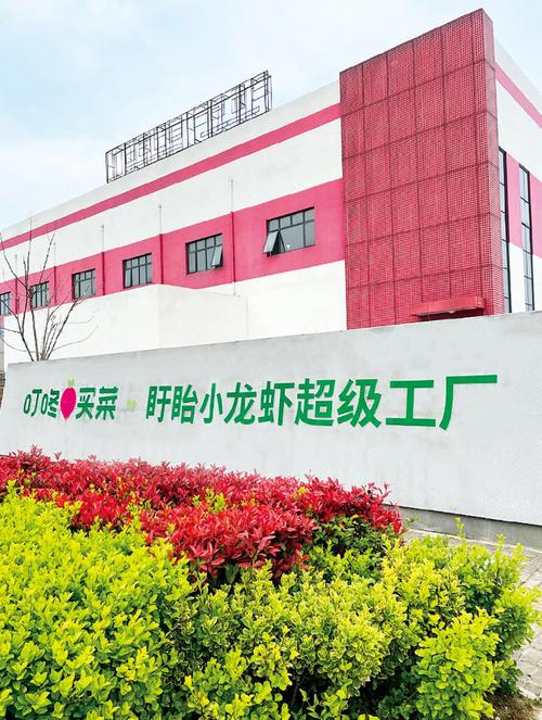 叮咚买菜一周一次竞价机制下的竞价推广托管服务 模式解析与运营价值