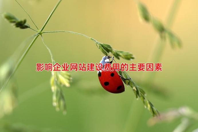 北京竞价托管公司 专业服务让竞价推广更高效