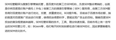 SEM托管与竞价推广托管服务 企业精准获客的可靠之选